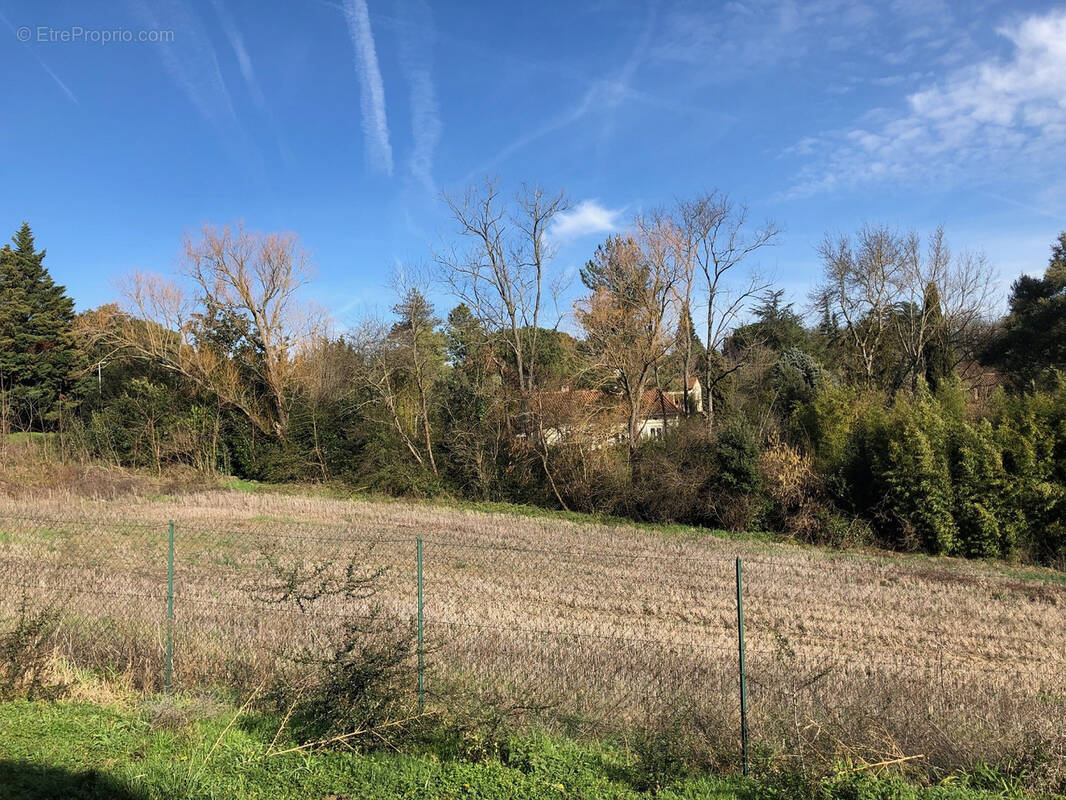 Terrain à VIGOULET-AUZIL