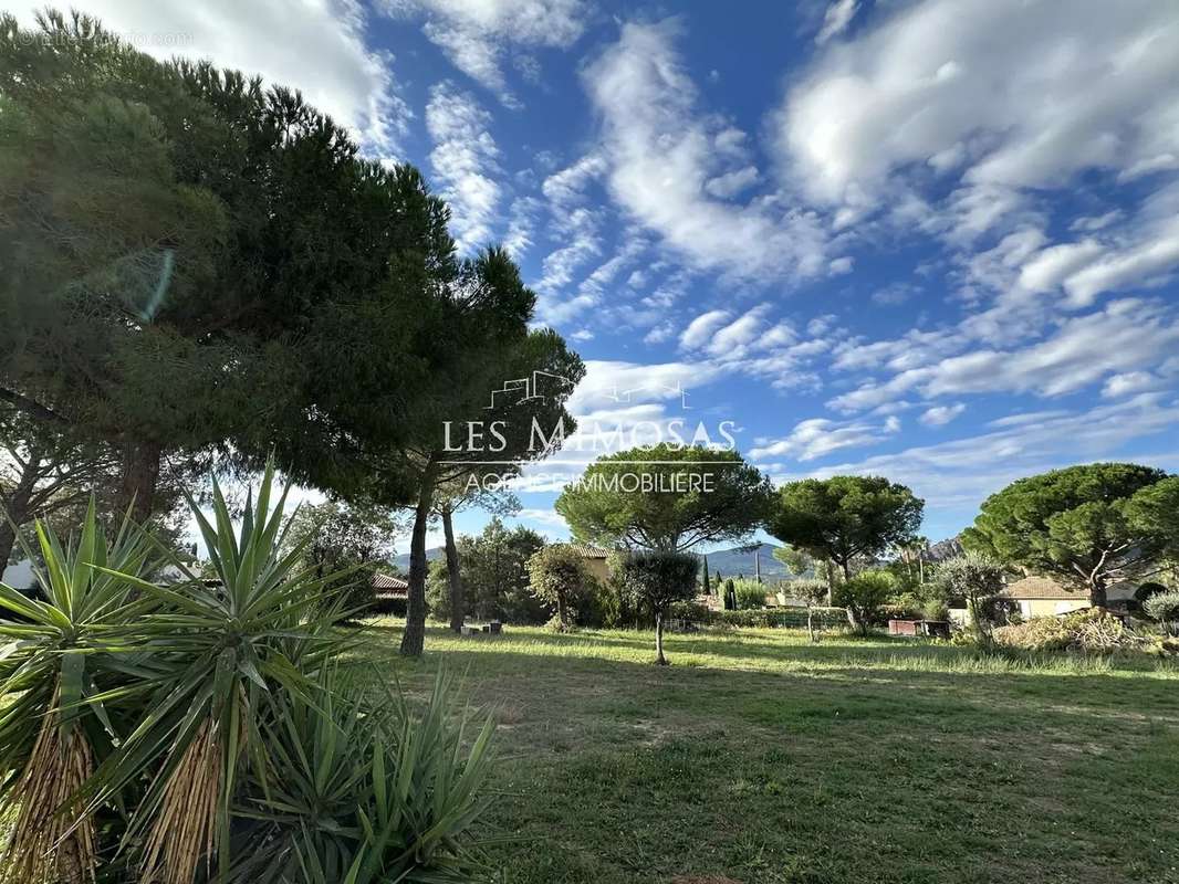 Terrain à ROQUEBRUNE-SUR-ARGENS