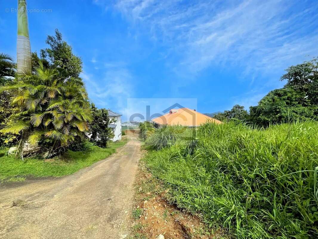 Terrain à SAINTE-MARIE