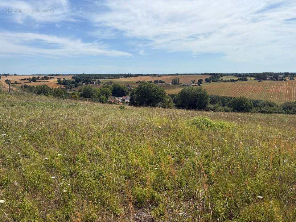 Terrain 770 m² à La Magdelaine-Sur-Tarn  - photo 3
