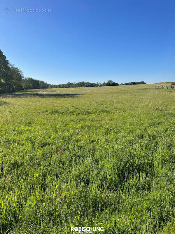 Terrain à MAGNY