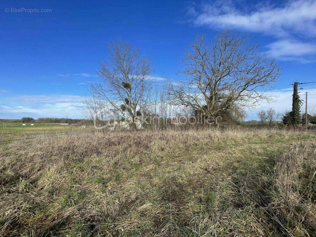 Terrain à LONGEVILLE-SUR-LA-LAINES