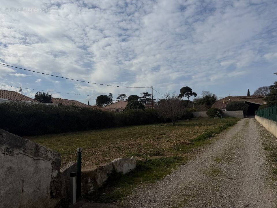 Terrain à SAINT-ANDRE-DE-SANGONIS
