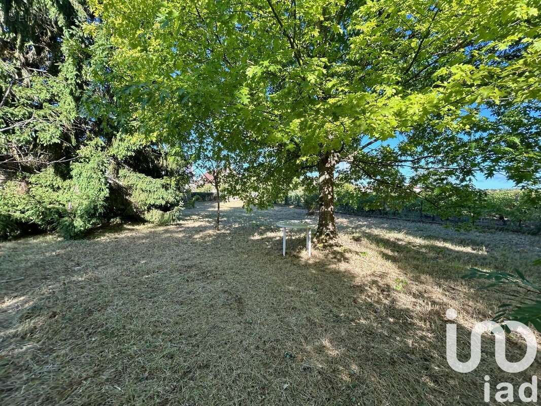 Photo 6 - Maison à RESTIGNE