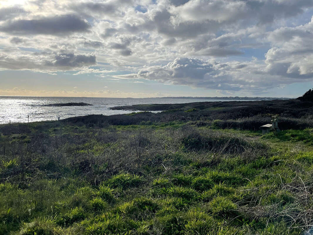 Maison à MOELAN-SUR-MER