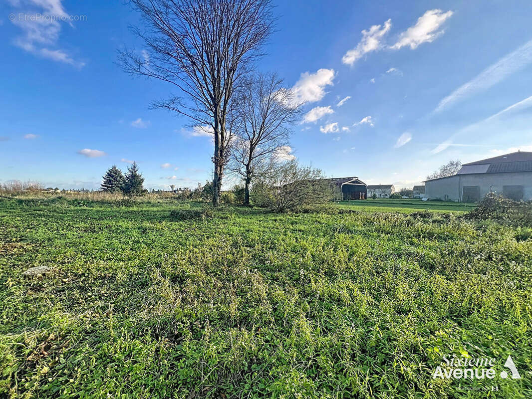 Terrain à SOLAIZE