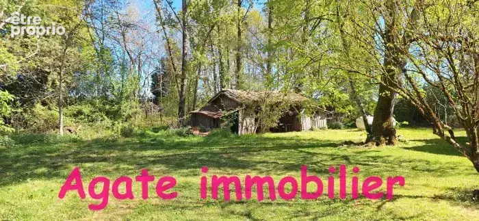 Maison en pierre a renover avec grand terrain - photo 3