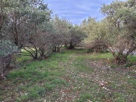 Terrain à SAINT-JEAN-DE-FOS