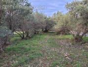 Terrain à SAINT-JEAN-DE-FOS