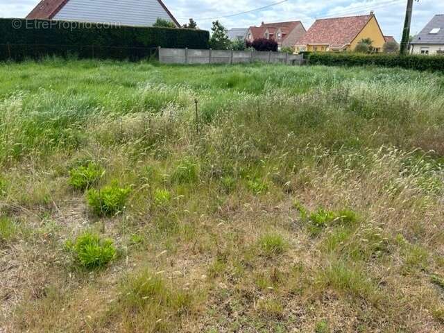 Terrain à AUDRUICQ