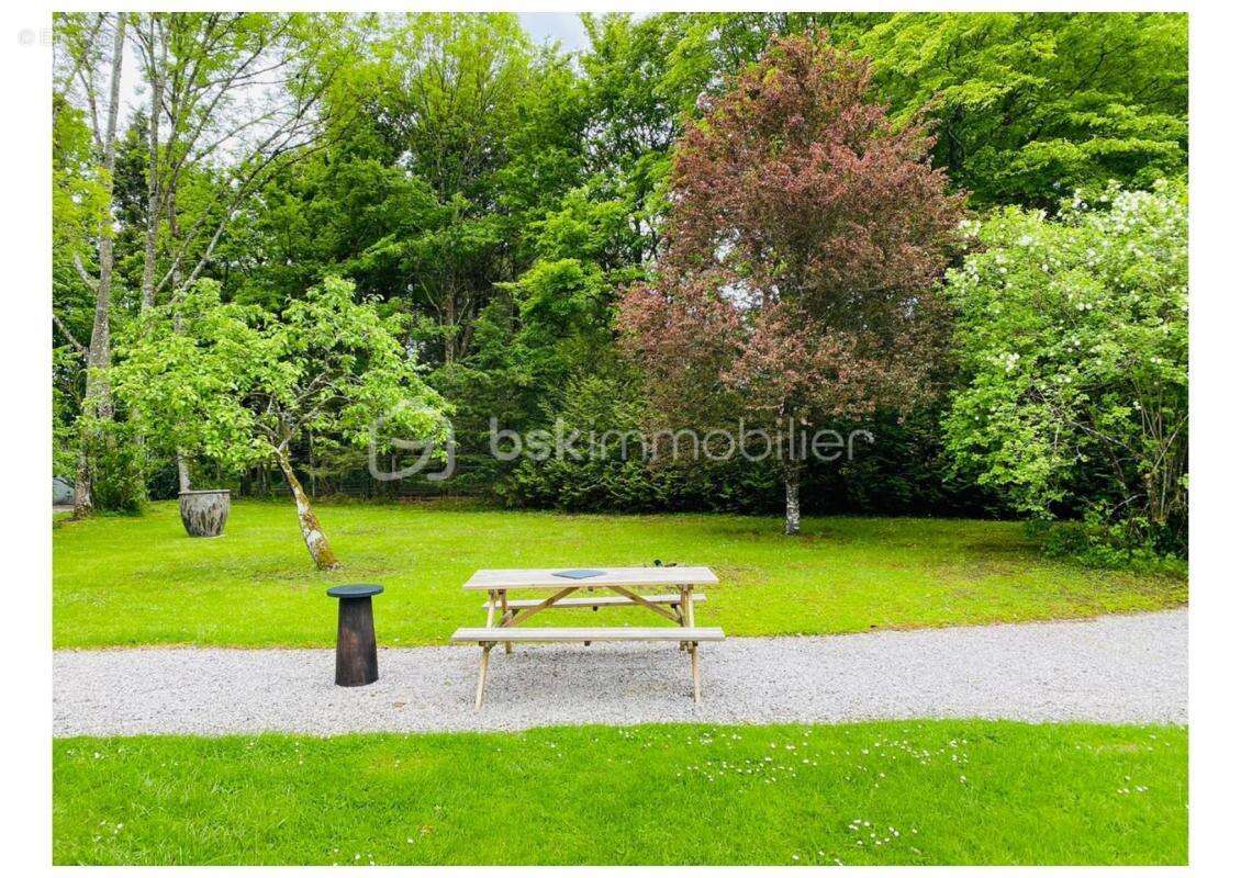 Propriété et Bois - photo 14