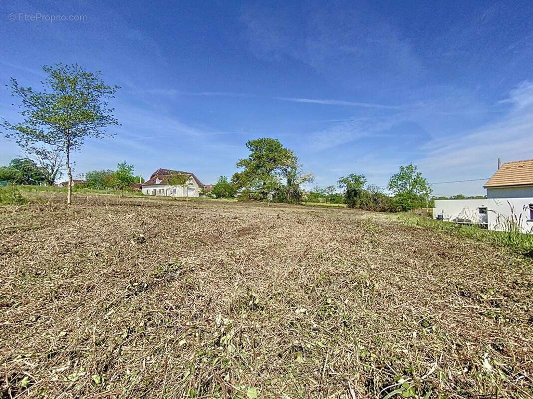 56317589d.jpg - Terrain à LAGOR