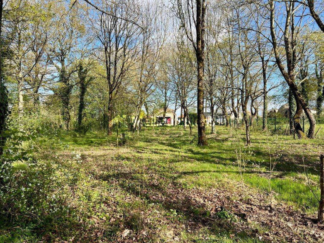 Terrain à AIZENAY