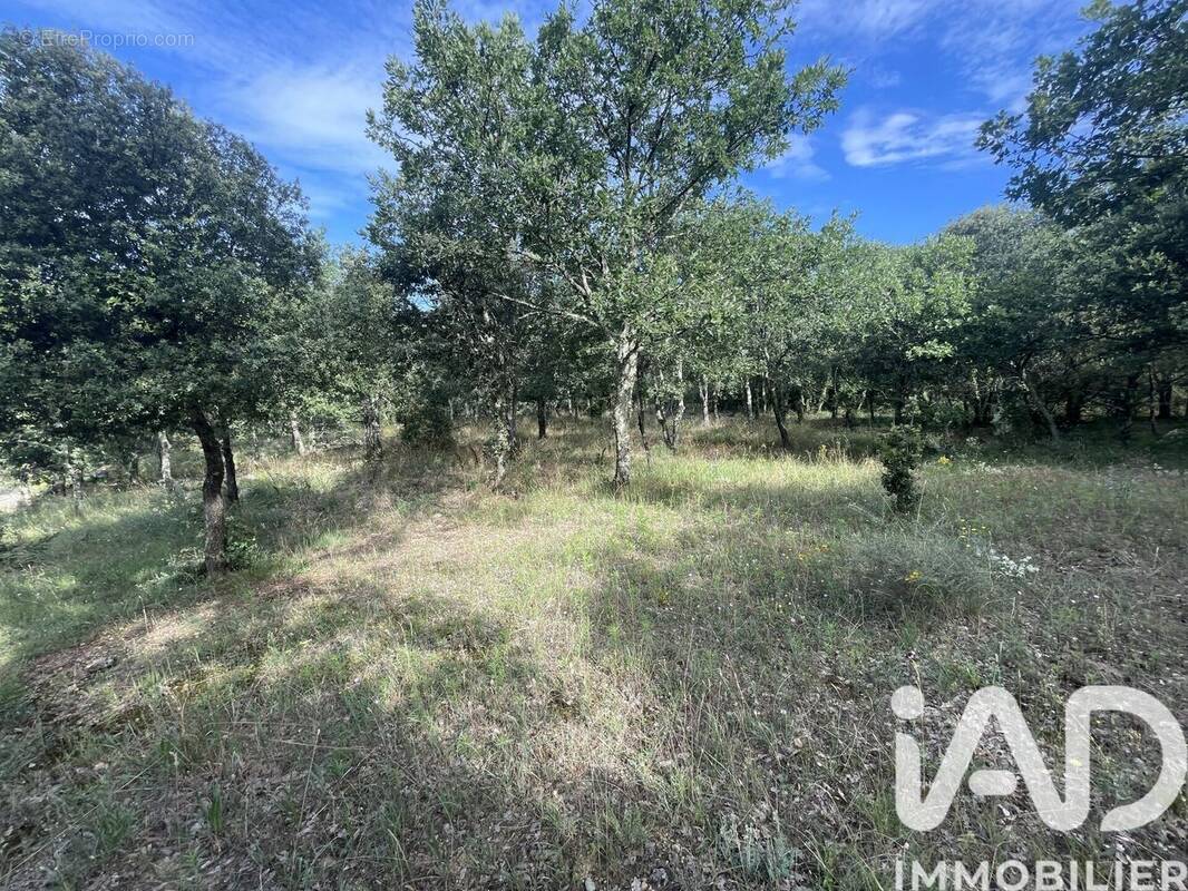 Photo 1 - Terrain à LAGORCE
