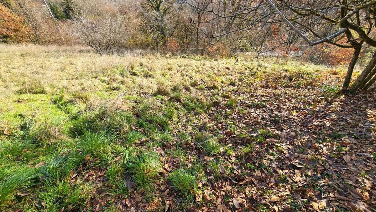 Maison à MONNETIER-MORNEX