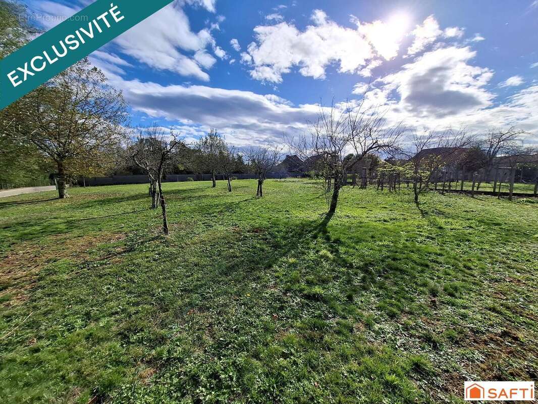 Photo 5 - Maison à NAVARRENX