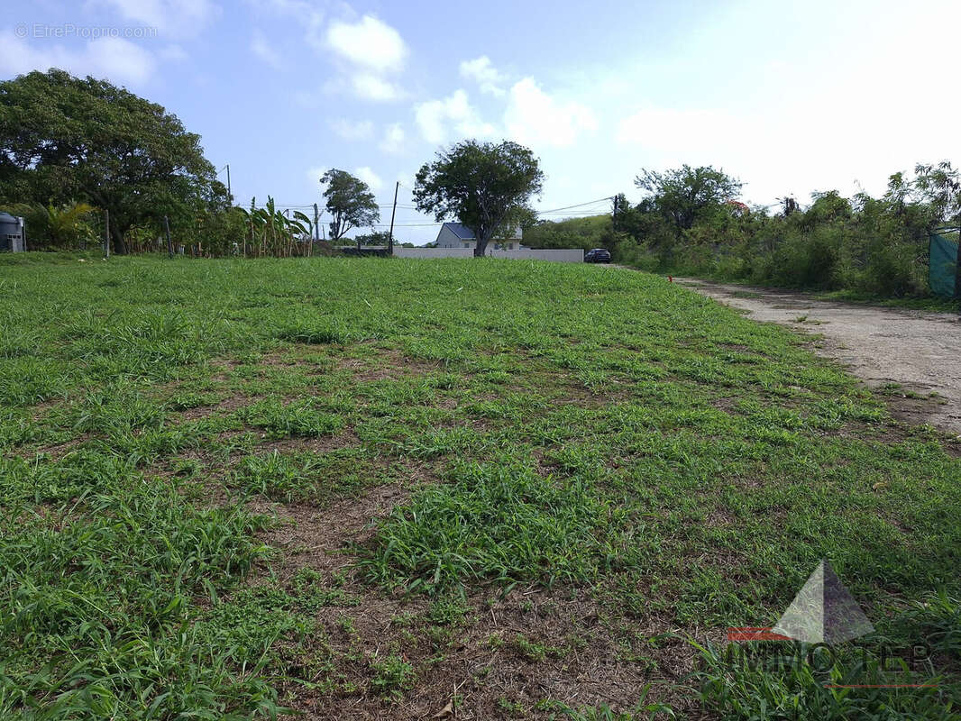 Terrain 500 m² à Saint-Francois  - photo 3