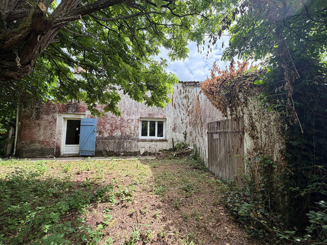 Maison à MONSEGUR