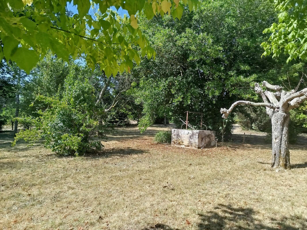 Belle maison familiale en pierre, jardin arboré et double garage proche des commodités - 33890 Gensac - photo 11