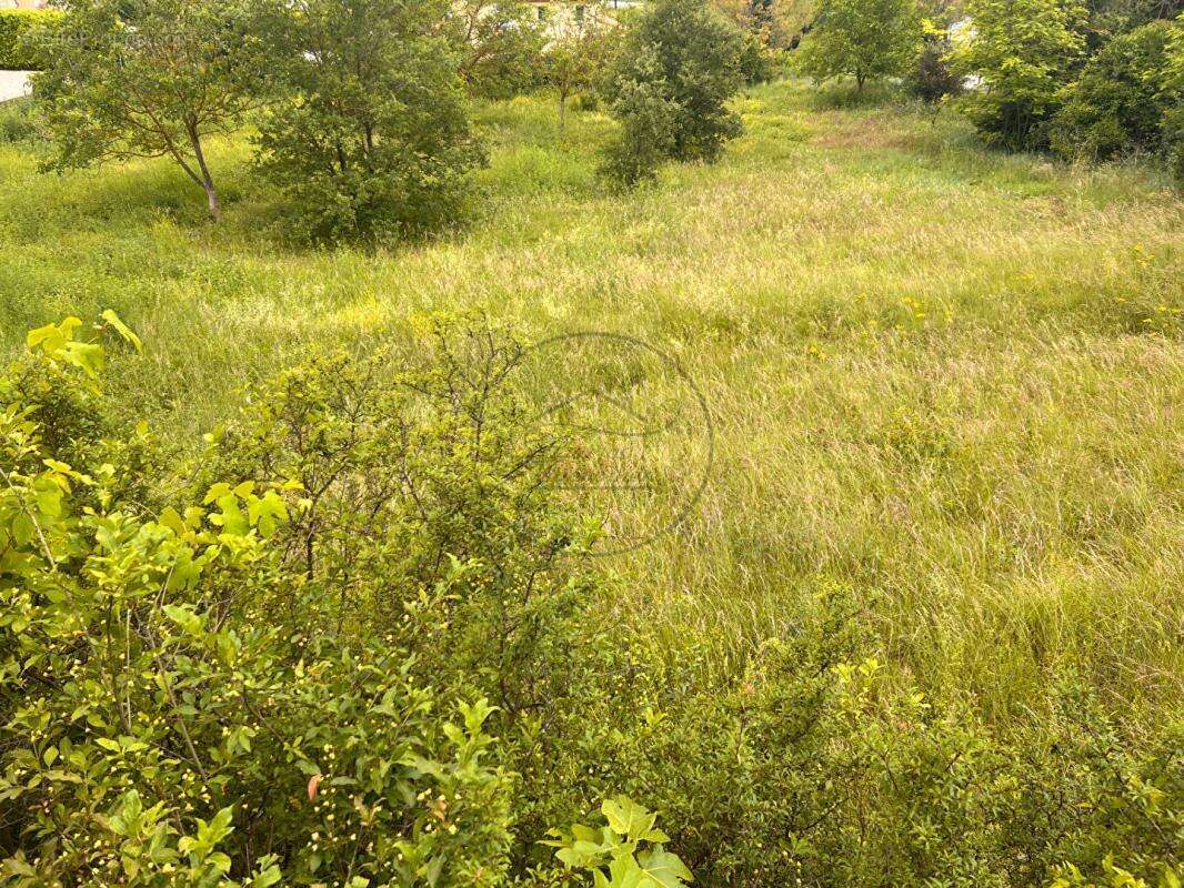 Terrain situé à Saint Jean De Maruejols de 1522 m2 - photo 3