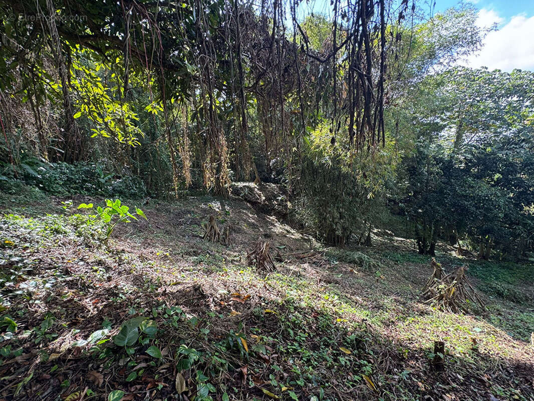 Terrain à LE ROBERT