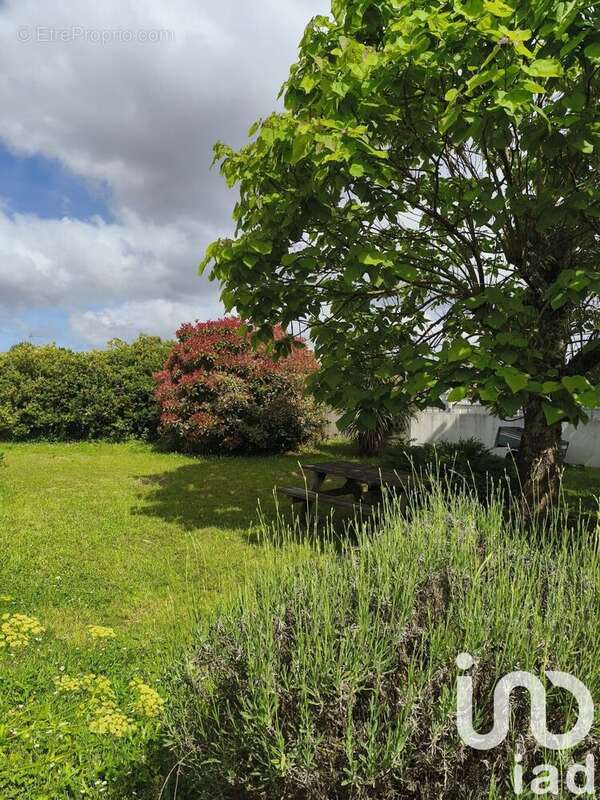 Photo 9 - Maison à ANDERNOS-LES-BAINS