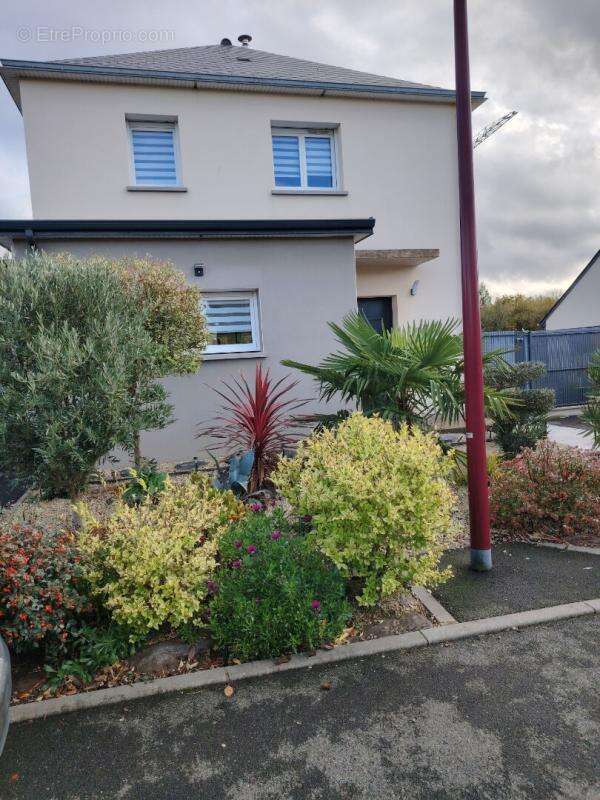 Maison à SAINT-ALBAN