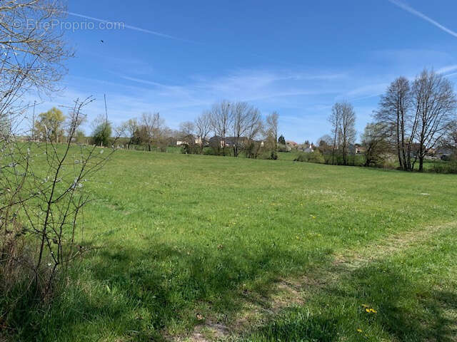 Terrain à XERMAMENIL