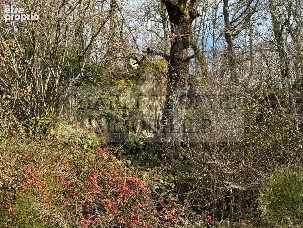 Charmante maison en pierre, garage et dépendances sur 1.5 ha au calme et proche d'un village en Bouriane - photo 25