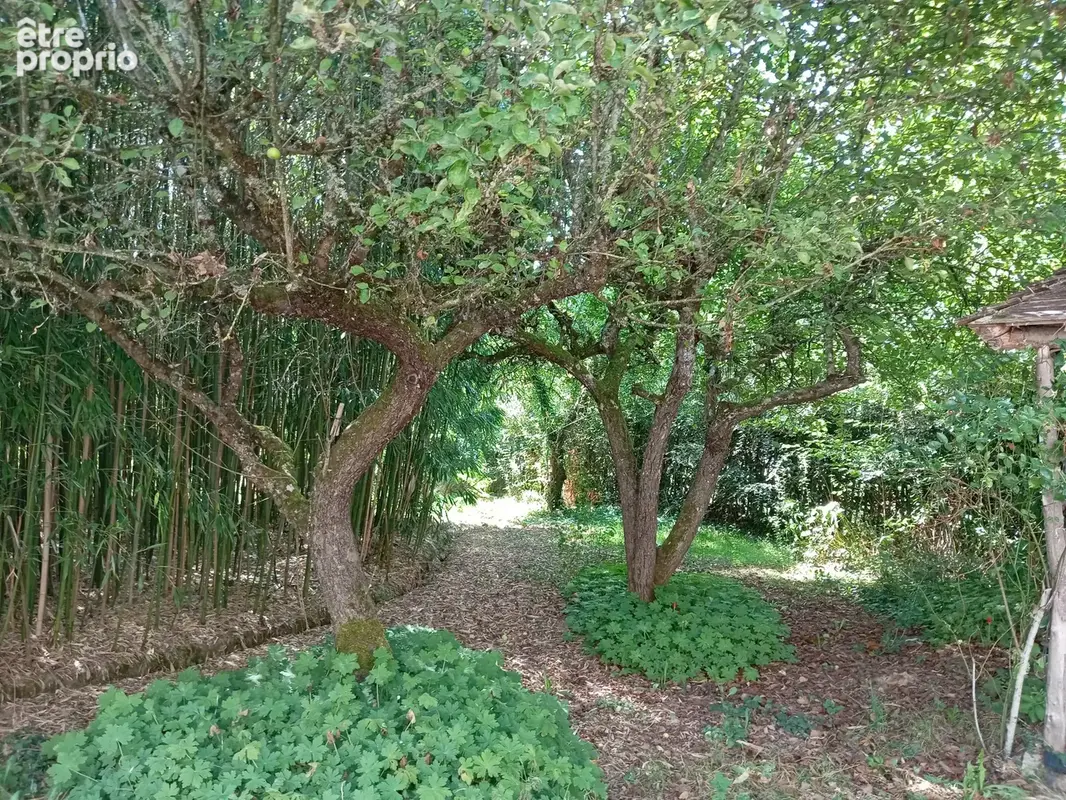 Maison 6 pièces 140 m² à vendre à Saint-Priest-La-Marche (18370) - photo 58