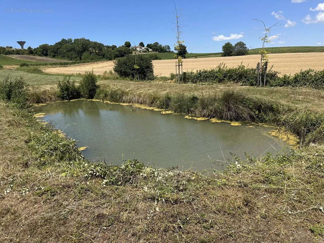 Maison à SAINT-GEORGES-DES-AGOUTS