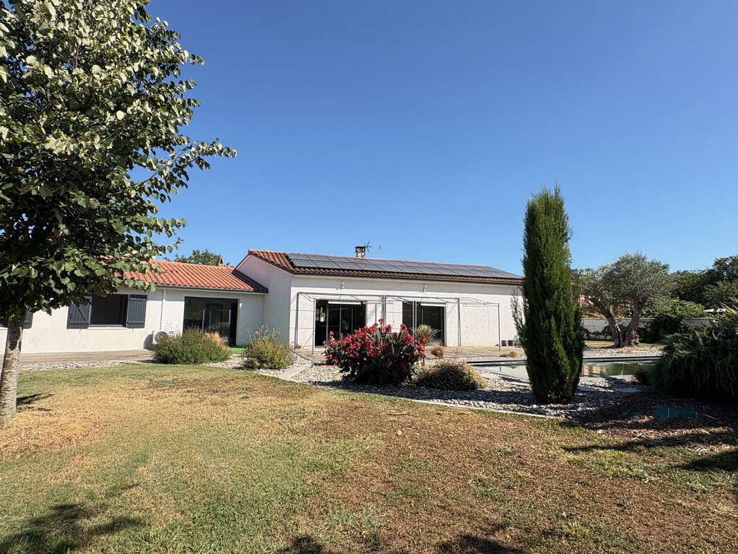 Maison T5 plain pied piscine FONSORBES 31470 - photo 2