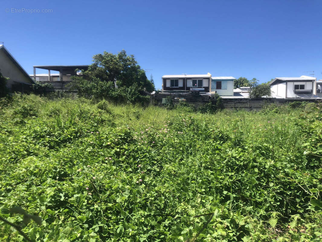 Photo 3 - Terrain à SAINT-LOUIS