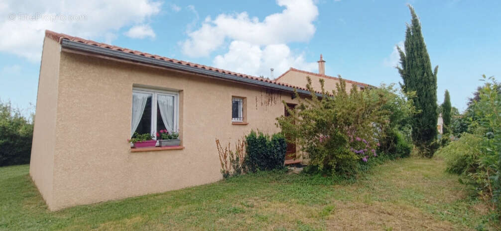 Maison à MONTESQUIEU-VOLVESTRE