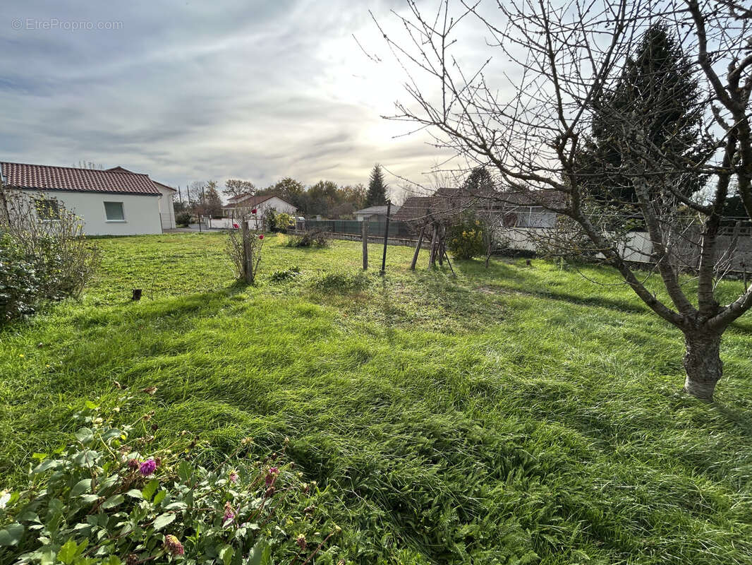 Terrain à PUY-GUILLAUME