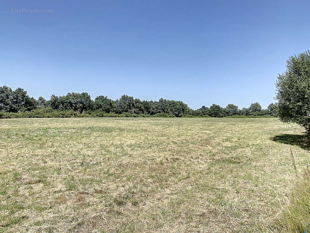 Terrain à TALMONT-SAINT-HILAIRE