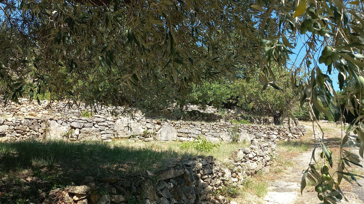 Maison à BEDARIEUX