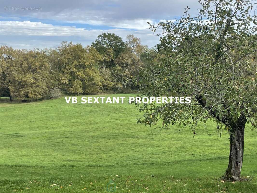 A 15mn de Bordeaux,  environnement exceptionnel pour ce domaine de 8 hectares avec 3 maisons - photo 16