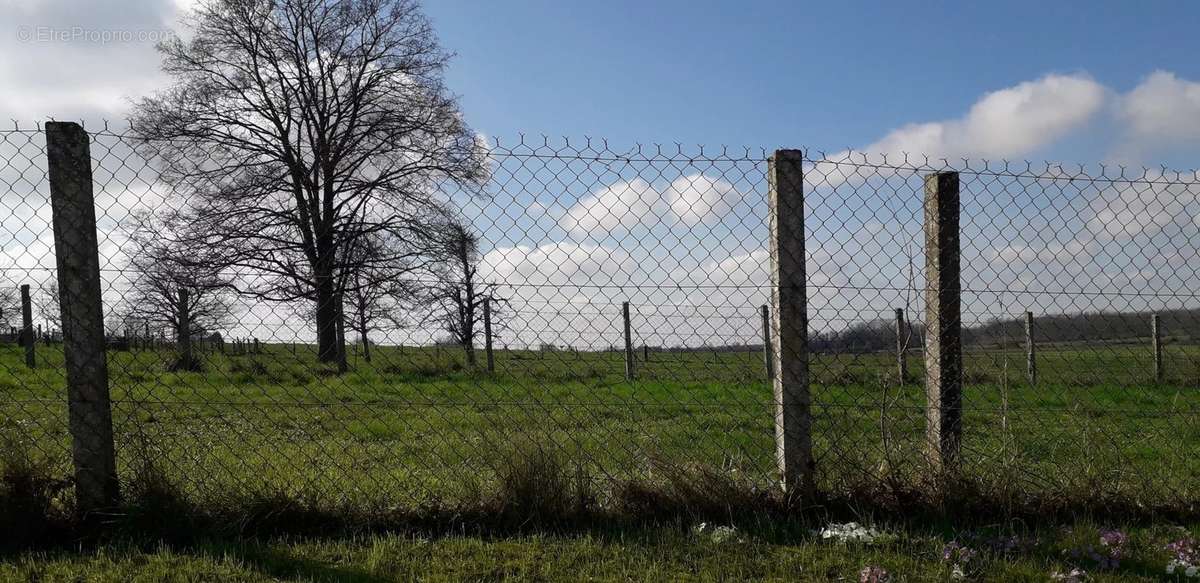 Terrain à VILLERS-LE-SEC