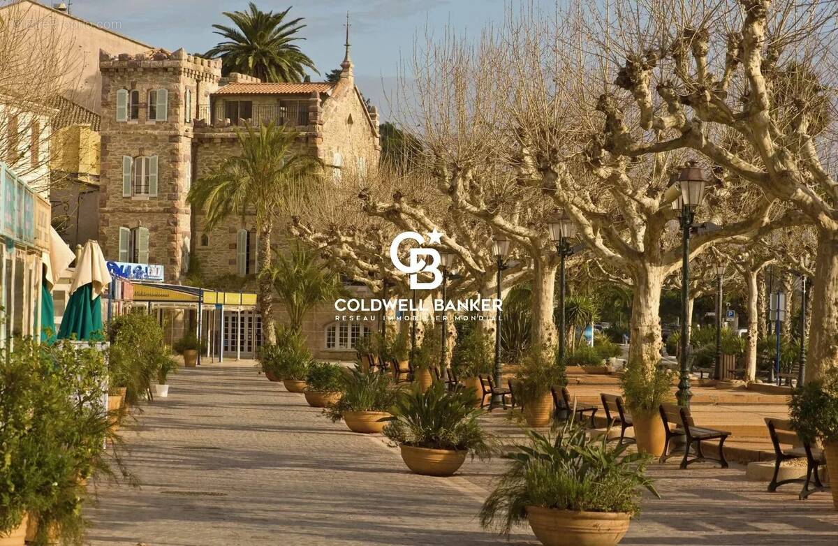 Commerce à LE LAVANDOU