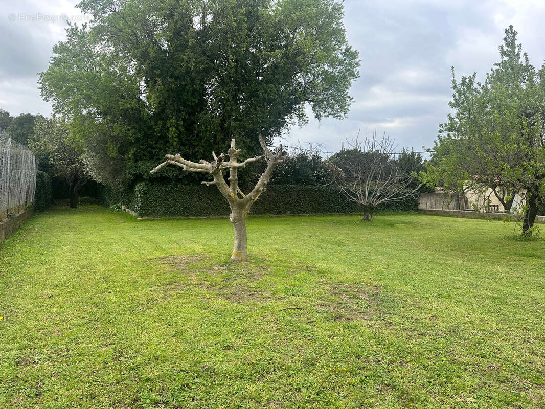 Terrain à BEAUVOISIN