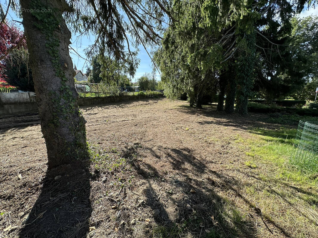 Terrain à SAINT-JUST-MALMONT