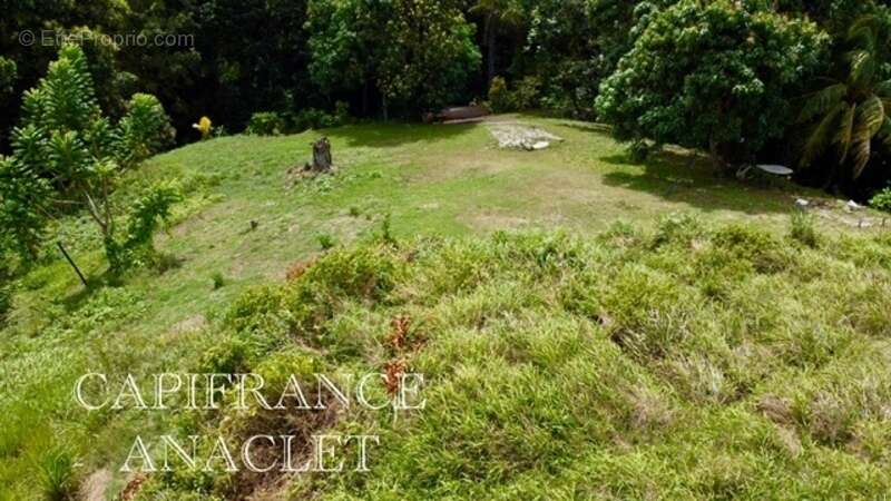 Terrain à LA TRINITE