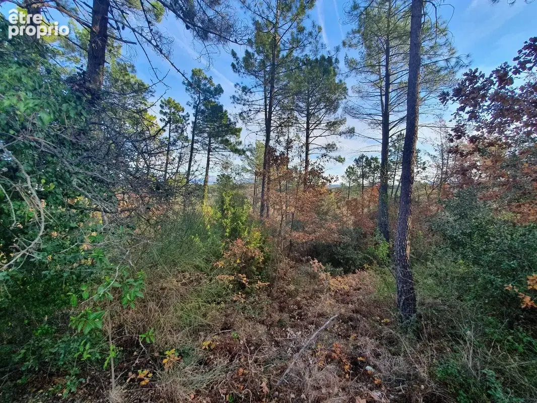 Terrain 1 300 m² à vendre à Saint-Paul-En-Foret (83440) - photo 6