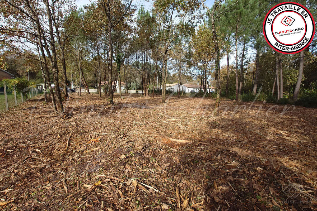 Terrain à SAINT-SAUVEUR