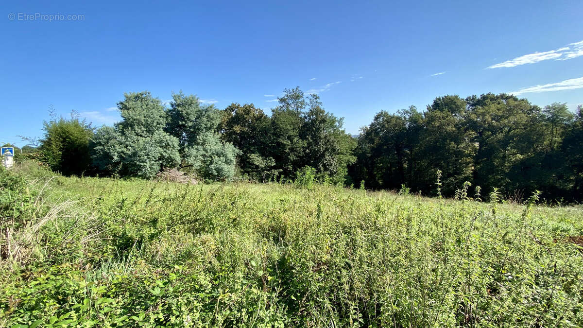 Terrain à BEYRIE-EN-BEARN