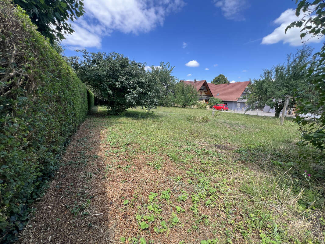 Terrain à WILLGOTTHEIM