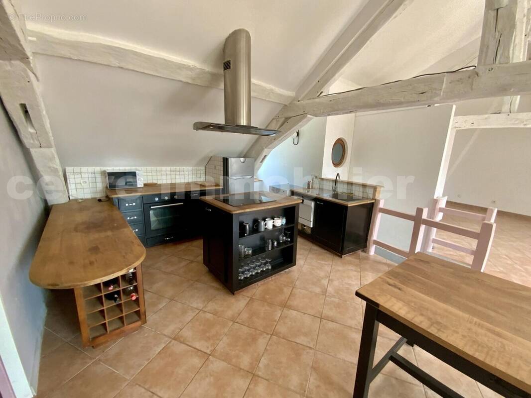 IMG_3401 - Appartement à OLIVET