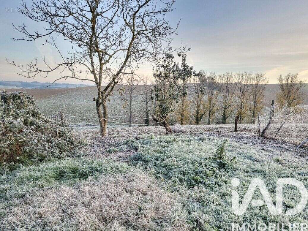 Photo 4 - Terrain à MONTGAILLARD