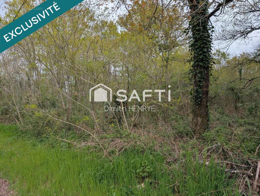 Terrain 927 m² à Blanquefort  - photo 4